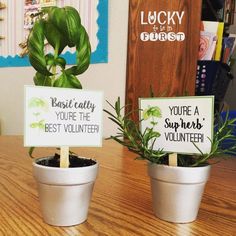 two potted plants sitting on top of a wooden table next to signs that say you're the best volunteer