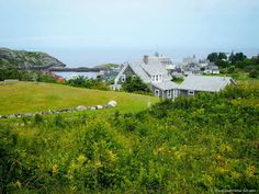 a house in the middle of a grassy field