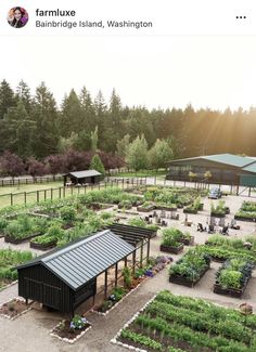 an aerial view of a garden with lots of plants