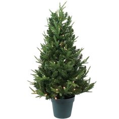 a small christmas tree in a pot with lights on the top and bottom part of it