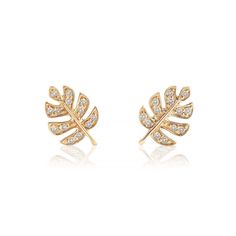 For all the plant lovers! Popular Monstera plant embedded with ethically sourced quality diamonds and 14K solid gold. 14K Gold Ethically sourced Diamonds, Clarity SI 1-2 Hypoallergenic. Lead and nickel free Width 7mm x Height 7mm Carat 0.18ct Post Earring Length 9mm 14K Gold Butterfly backing #ED040-G Monstera Plant, Gold Butterfly, The Plant, Quality Diamonds, Diamond Earrings Studs, Ring Bracelet, Ring Necklace, Post Earrings, Solid Gold