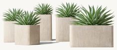 three cement planters with green plants in them