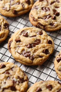 chocolate chip cookies on a cooling rack ready to be baked in the oven for consumption