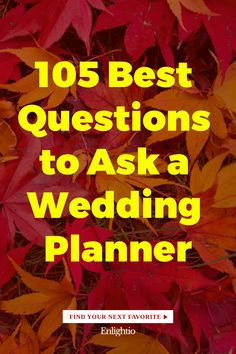 105 Best Questions to Ask a Wedding Planner