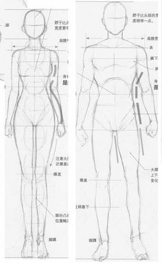 three different views of the human body and their features in chinese text, with instructions to draw