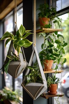 three hanging planters filled with plants in front of a window