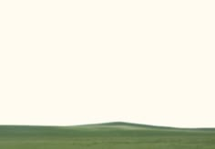 a man flying a kite on top of a lush green field