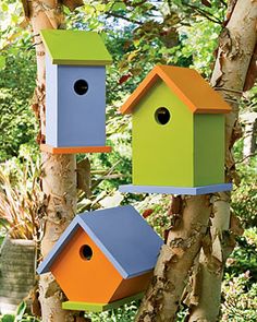 colorful bird houses hanging from the side of a tree