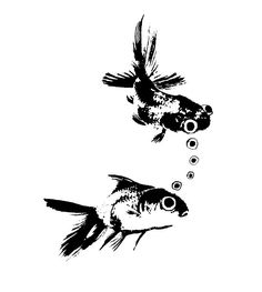 two black and white fish with bubbles in their mouths, one looking at the other