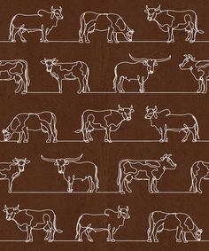 an image of cows in different positions on the blackboard with white outlines and lines