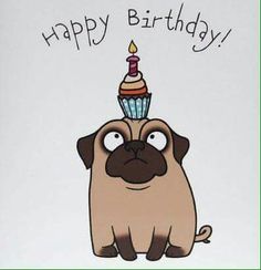 a birthday card with a pug wearing a cupcake on it's head