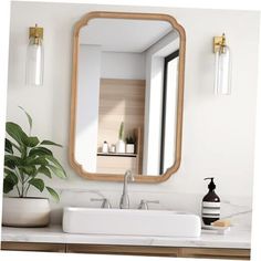 a bathroom sink under a large mirror next to a potted plant and a vase