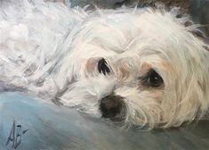 a painting of a white dog laying down