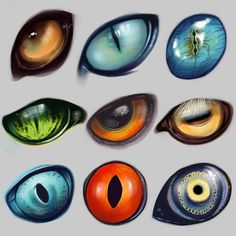 several different types of eyeballs are shown in this image