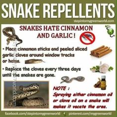 snake repellents and snakes that are not in the wild or on the ground