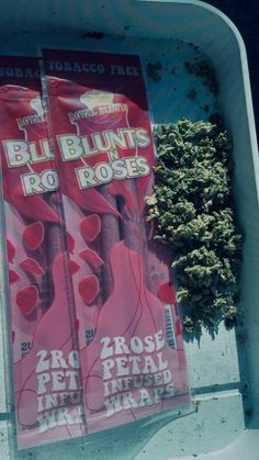 there are two large bags of bud blunts on the side of a building with trees in the background