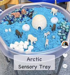 there is a blue sand tray with animals and rocks in it that says arctic sensory tray