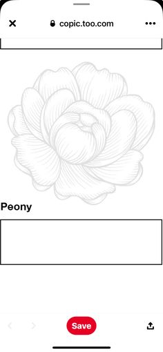 an iphone screen with the text peony on it and a drawing of a flower