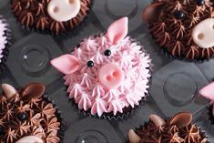 cupcakes with pink frosting and chocolate decorations on top are arranged in the shape of a pig