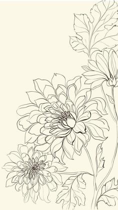 black and white drawing of flowers with leaves