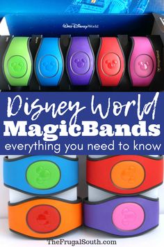 disney world magicbands with the title overlay