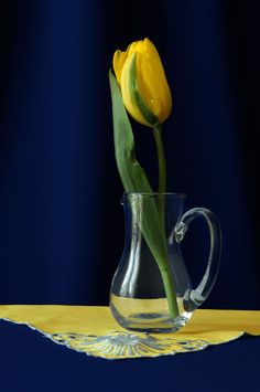 a single yellow tulip in a clear glass vase on a blue table cloth,