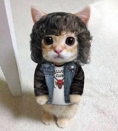 a cat wearing a jean jacket and wig sitting on the floor next to a door