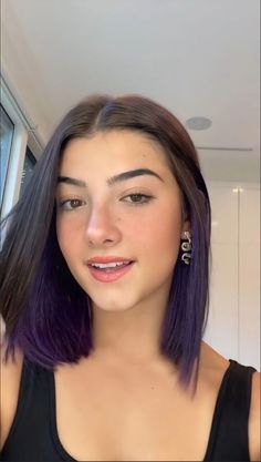 Coloured Hair Streaks, Charli Damelio Hair, Color Streaks In Brown Hair, Aesthetic Hair Colour, Charlie Damelio Hair, Hair Colour Inspo, Grunge Blonde, Medium Balayage, Blonde Grunge