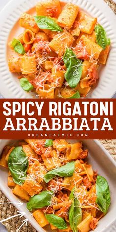 Need a quick meal with a kick? This Spicy Rigatoni Arrabbiata is a go-to for quick weeknight dinners and pasta dinner recipes. With fresh tomatoes, garlic, and a kick of red pepper, it brings bold Italian flavors to your table with effortless prep! Pasta Dinner Recipes, Rigatoni, Fresh Tomatoes, Weeknight Dinner, Quick Meals