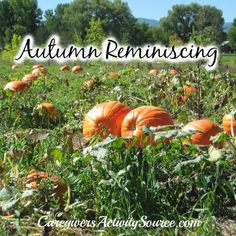 pumpkins growing in an open field with the words autumn reminising