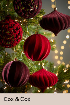 red and purple ornaments hanging from a christmas tree with lights in the backround