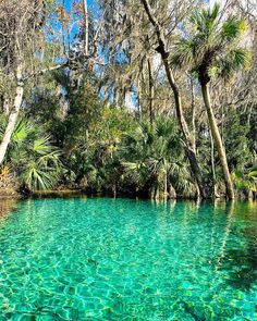 the blue water is surrounded by trees and green leaves in this photo, it's clear