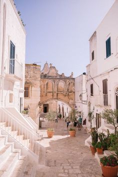 an alleyway with potted plants and stairs leading up to the building's entrance