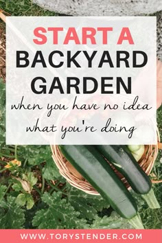 a basket full of vegetables with the words start a backyard garden when you have no idea what you're doing