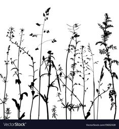 black and white silhouettes of plants on a white background