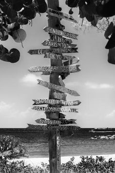 a pole with many signs on it near the ocean and trees in black and white