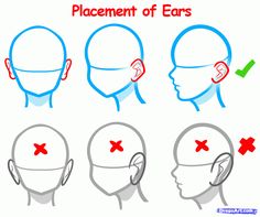 how to draw the head with different angles and shapes for each part of the head