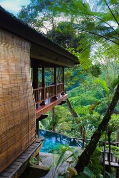 a house in the middle of some trees and plants with water running down it's side