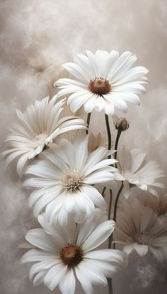 some white flowers are in a vase on a gray and white background with clouds behind them