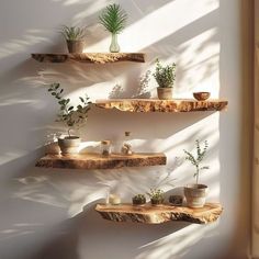 three wooden shelves with potted plants on them