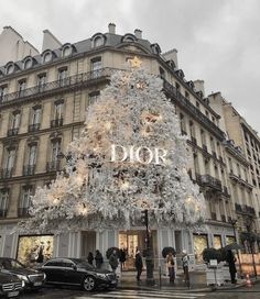 a large christmas tree in front of a building