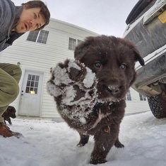 a man kneeling down next to a dog in the snow with his paw on it