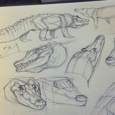 some sketches of alligators and crocodile heads