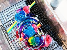 there are many different colored toothbrushes on the wire rack in front of them