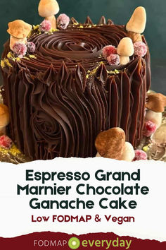 a cake with chocolate icing and mushrooms on top is featured in this ad for espresso grand marnier chocolate ganache cake low fodmap & vegan