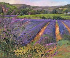 an oil painting of lavender fields in bloom