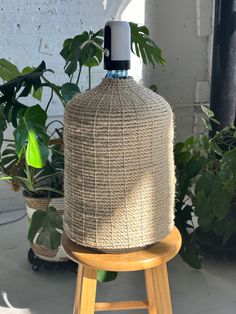 a bottle sitting on top of a wooden stool next to potted plants and greenery