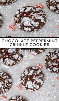 chocolate peppermint crinkle cookies with candy canes