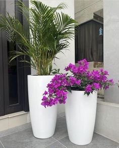 two large white planters with purple flowers in them