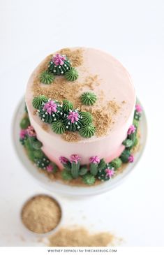 a cake decorated with pink frosting and green cactus decorations on a white plate next to a penny